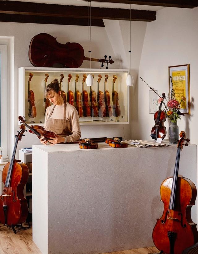 Ankauf von Instrumenten